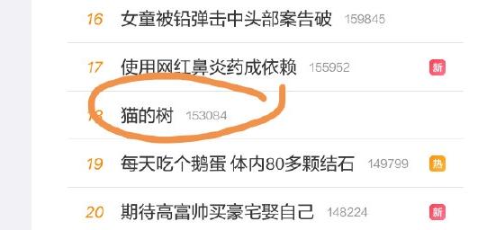 摄影网红，猫的树cattree微电影“吴谨言穿越剧”
