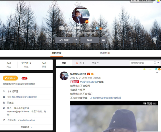摄影网红，猫的树cattree微电影“吴谨言穿越剧”