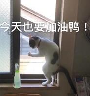 RW官博暗示“光之结婚”? 厂长“寻仇”Deft