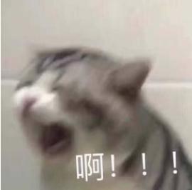 官方记录片讲述厂长职业生涯 猫猫为IG加油